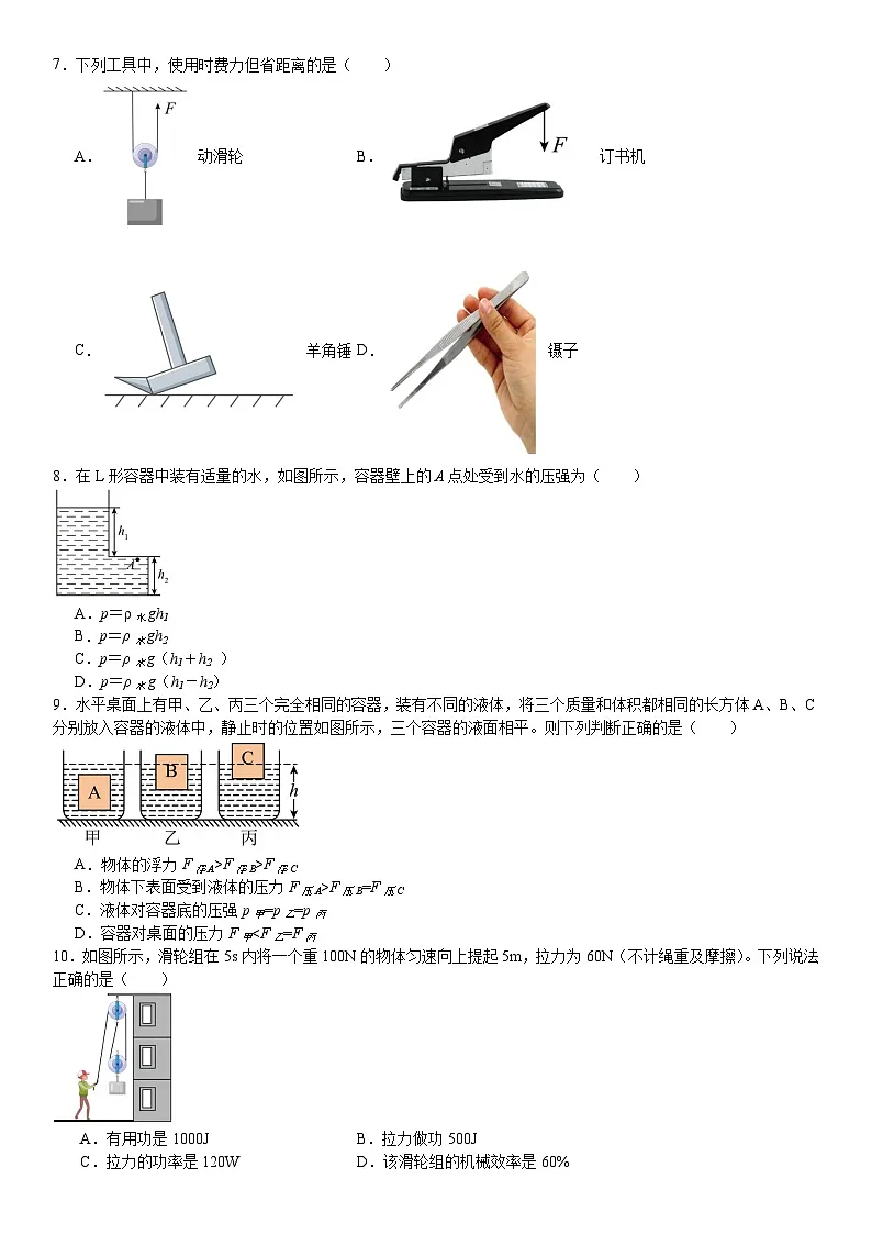 广东省深圳市龙华区2024-2025学年八年级下学期期末 物理模拟练习卷第2页