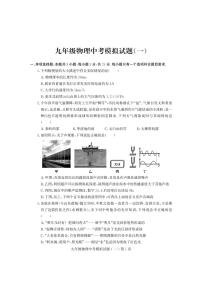 2024年山东省潍坊市诸城市九年级物理中考模拟试题一