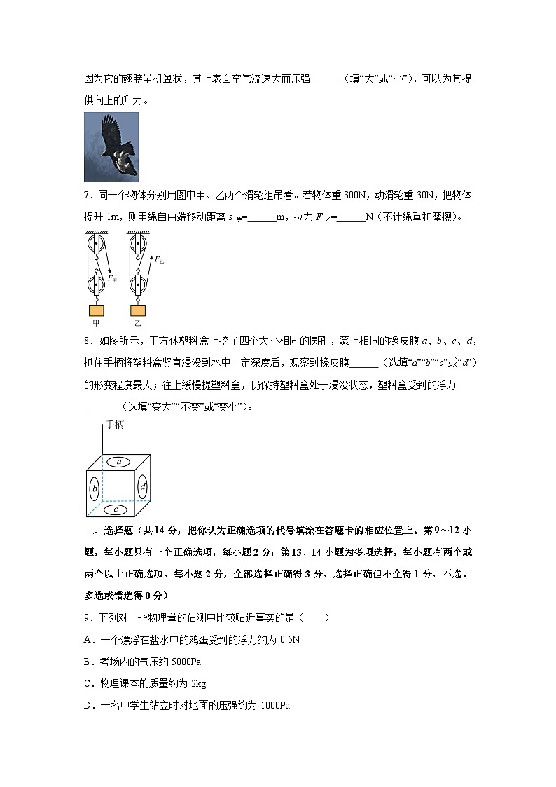 江西省九江市永修县2024-2025学年八年级下学期期末模拟练习卷(二)物理试卷第2页