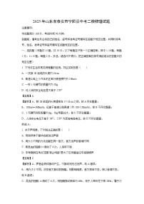 2025年山东省泰安市宁阳县中考二模物理试卷（解析版）