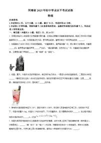 2025年河南省中考物理真题含答案