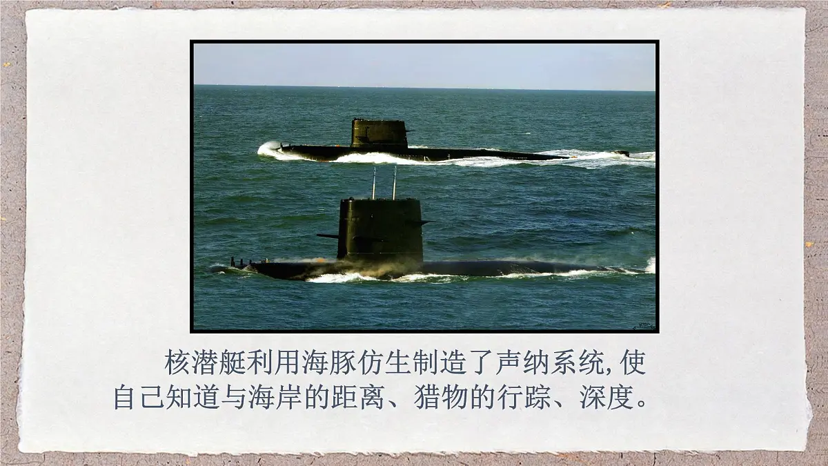 人教版物理(2024)八年级上册 2.3 声的利用 课件第7页