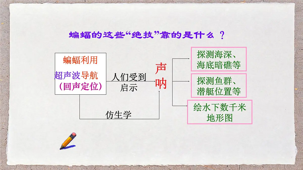 人教版物理(2024)八年级上册 2.3 声的利用 课件第8页