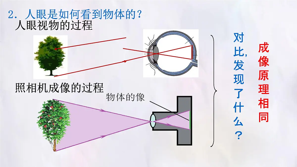 人教版物理(2024)八年级上册 5.4 眼睛和眼镜 课件第7页