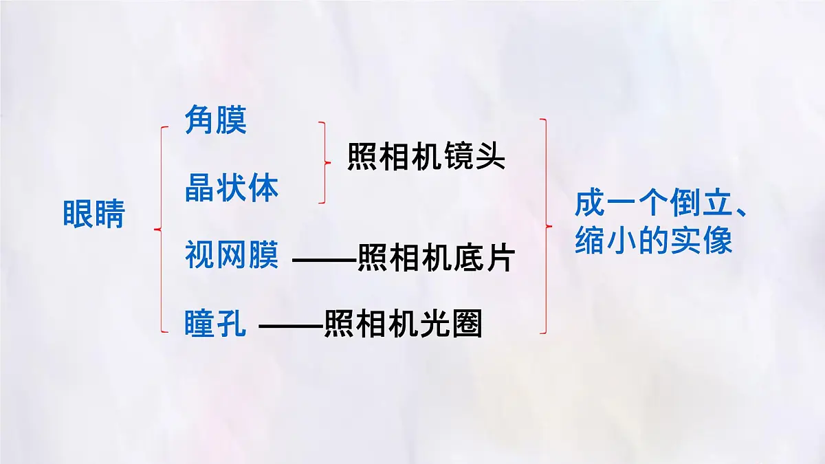 人教版物理(2024)八年级上册 5.4 眼睛和眼镜 课件第8页