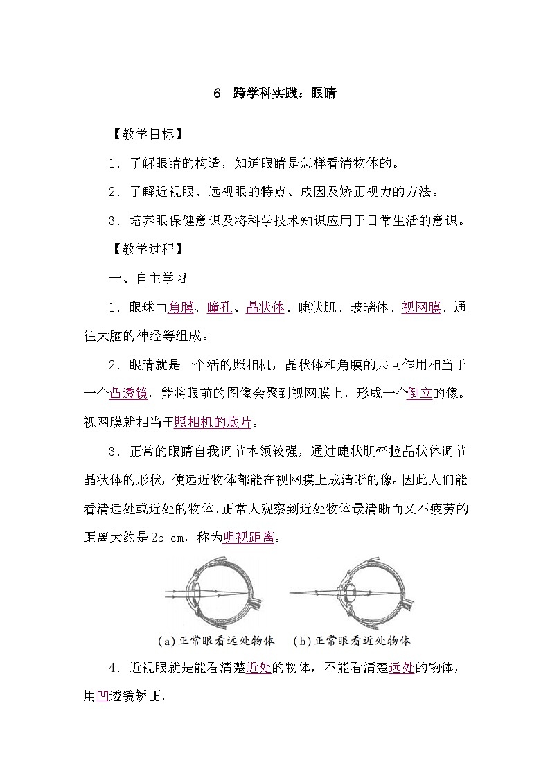 教科版(2024)物理八年级上册 4.6 跨学科实践:眼睛(学案)第1页