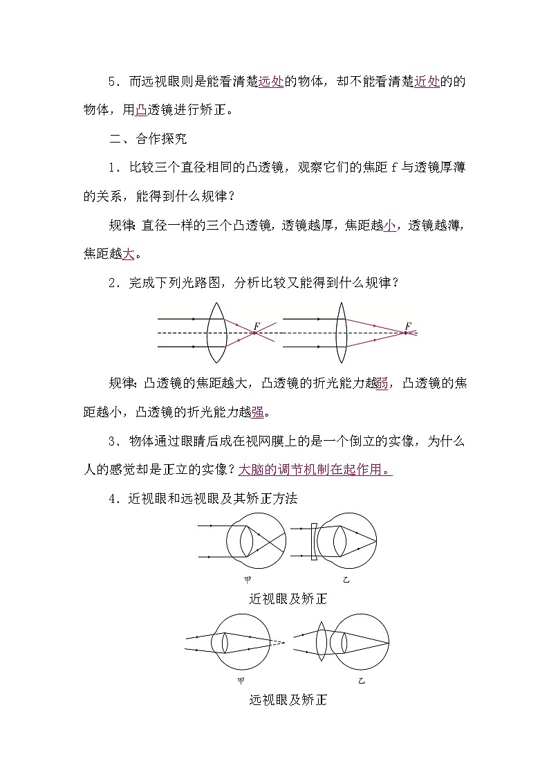 教科版(2024)物理八年级上册 4.6 跨学科实践:眼睛(学案)第2页