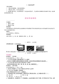 教科版（2024）八年级上册（2024）走进彩色世界教案