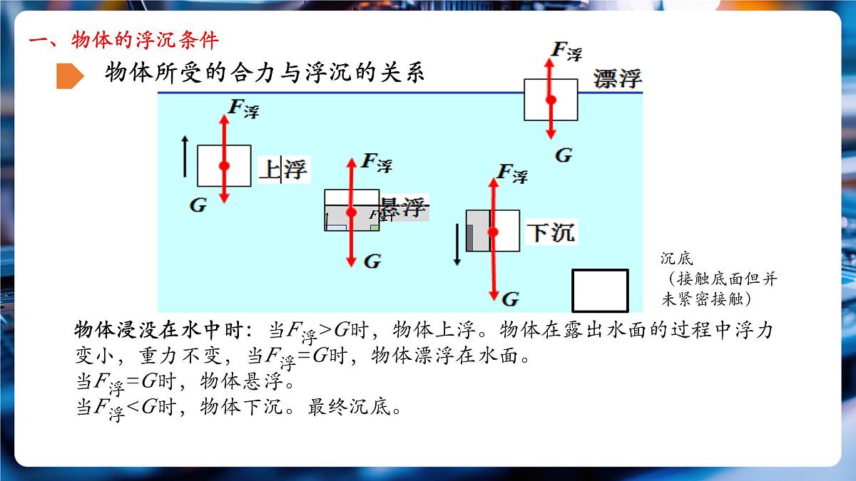 第七节物体的浮沉条件及其应用 课件第4页