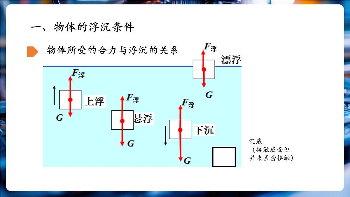 第七节物体的浮沉条件及其应用 课件第5页