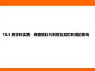 2025-2026學(xué)年度北師大版物理九年級上冊10.5 跨學(xué)科實(shí)踐：調(diào)查燃料的利用及其對環(huán)境的影響 課件