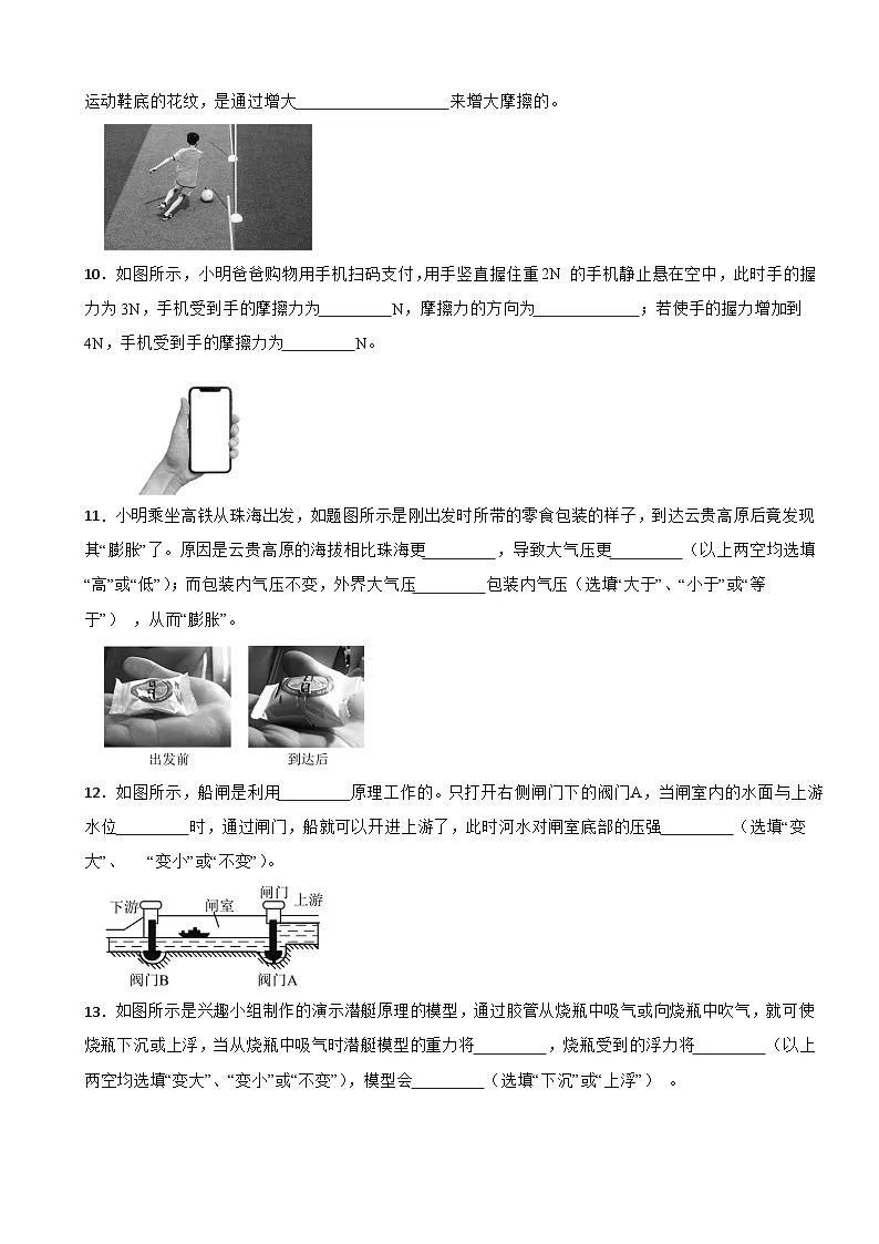 广东省珠海市金湾区2023-2024学年八年级下学期7月期末物理试题第3页