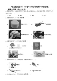 广东省肇庆地区2023-2024学年八年级下学期期末考试物理试题