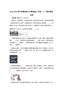 河南省周口市郸城县2024_2025学年八年级上册期末考试物理试卷[有解析]