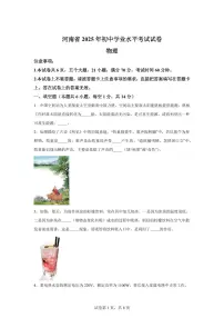 2025届河南省中考物理试卷[附解析]