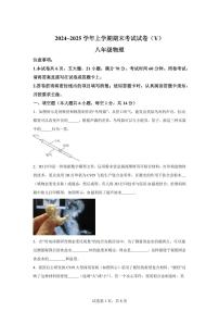 河南省漯河市舞阳县2024~2025学年八年级上册期末考试物理试卷[附解析]