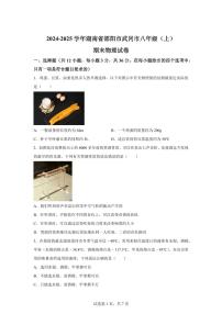 湖南省邵阳市武冈市2024~2025学年八年级上册期末考试物理试卷[附解析]