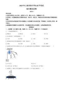 2025年上海市初中学业水平考试中考物理真题试卷(中考真题+答案)