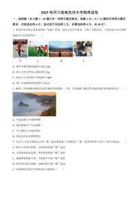 2025年四川省南充市初中学业水平考试中考物理真题试卷(中考真题+答案)