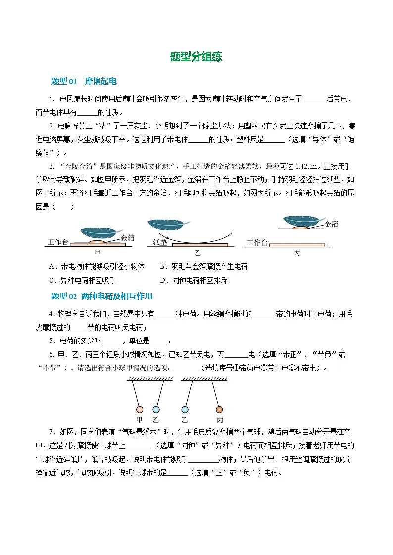 第一节 静电现象 (培优考点练)(原卷版)第2页
