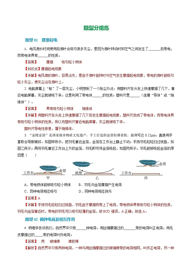 第一节 静电现象 (培优考点练)(解析版)第2页
