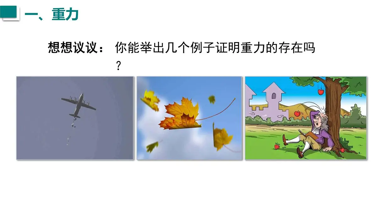 2025年秋沪科版八年级物理全一册 第三节 来自地球的力(课件)第5页