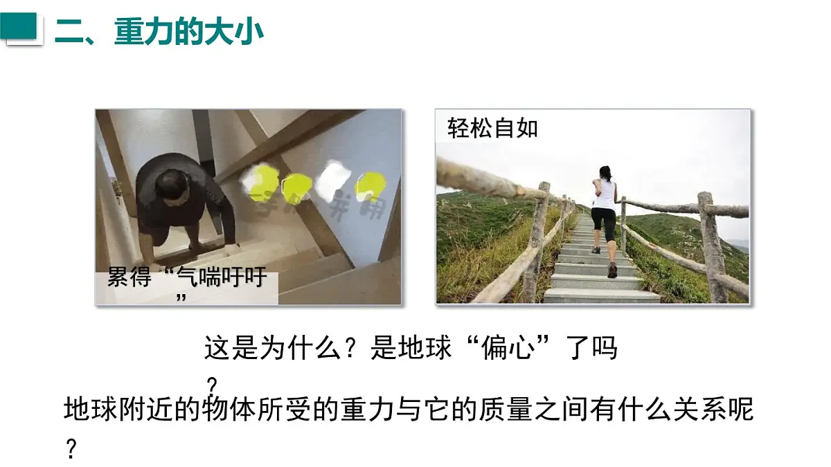 2025年秋沪科版八年级物理全一册 第三节 来自地球的力(课件)第7页