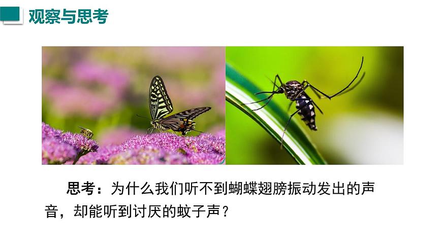 2025年秋滬粵版八年級(jí)物理上冊 2.2 音調(diào)(課件)第2頁
