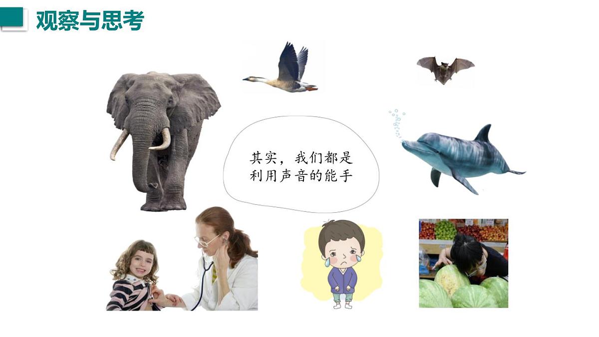 2025年秋沪粤版八年级物理上册 2.4 让声音为人类服务(课件)第2页