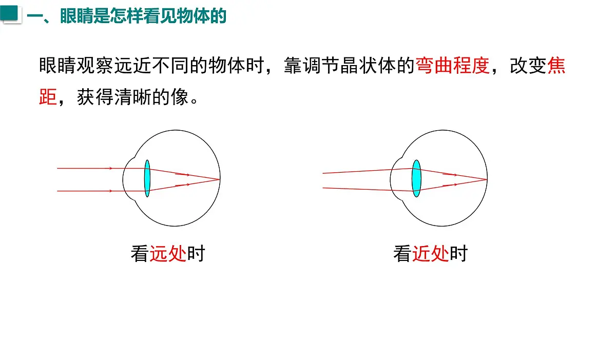 2025年秋沪粤版八年级物理上册 3.7 眼睛与光学仪器(课件)第5页