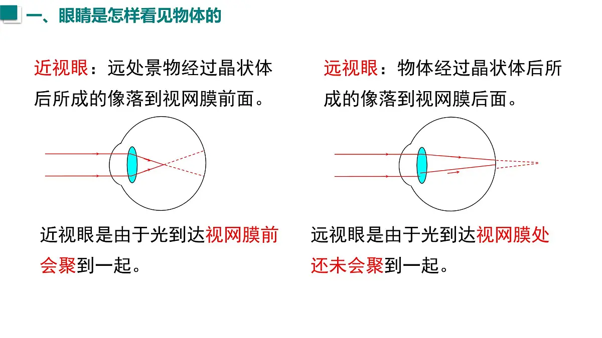 2025年秋沪粤版八年级物理上册 3.7 眼睛与光学仪器(课件)第6页