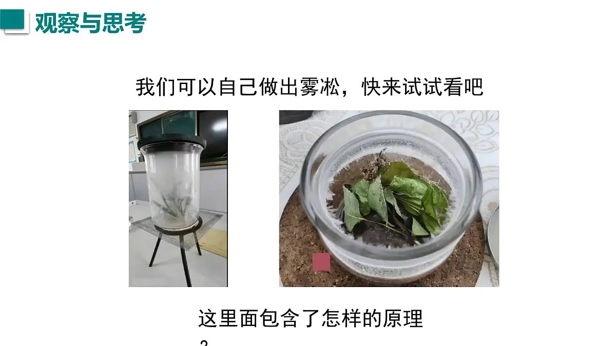 2025年秋沪粤版八年级物理上册 4.5 水循环与水资源(课件)第2页