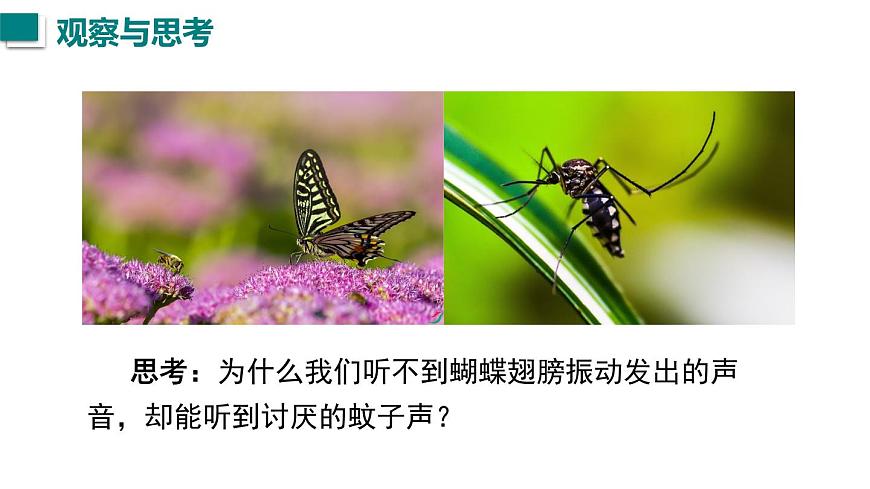 2025年秋人教八年級物理上冊 第2節(jié)  聲音的特性（課件）第2頁