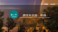 教科版（2024）八年级上册（2024）跨学科实践：眼睛课前预习课件ppt