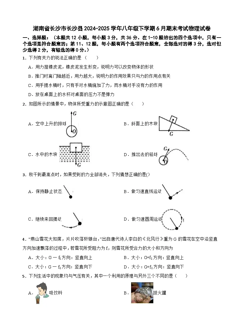 湖南省长沙市长沙县2024-2025学年八年级下学期6月期末考试物理试卷第1页