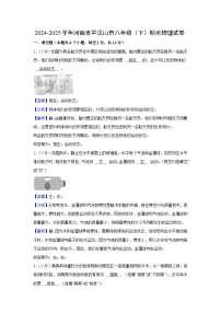 河南省平顶山市2024-2025学年八年级下学期期末物理试卷（解析版）