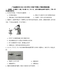 广东省肇庆市2024-2025学年八年级下学期6月期末物理试题