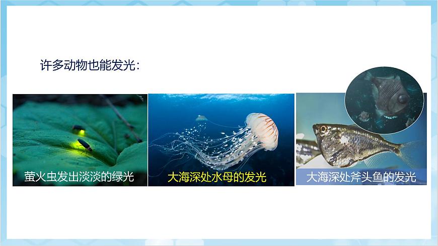 人教版(2024)物理八上4.1《 光的直線傳播》(教學(xué)課件)第6頁
