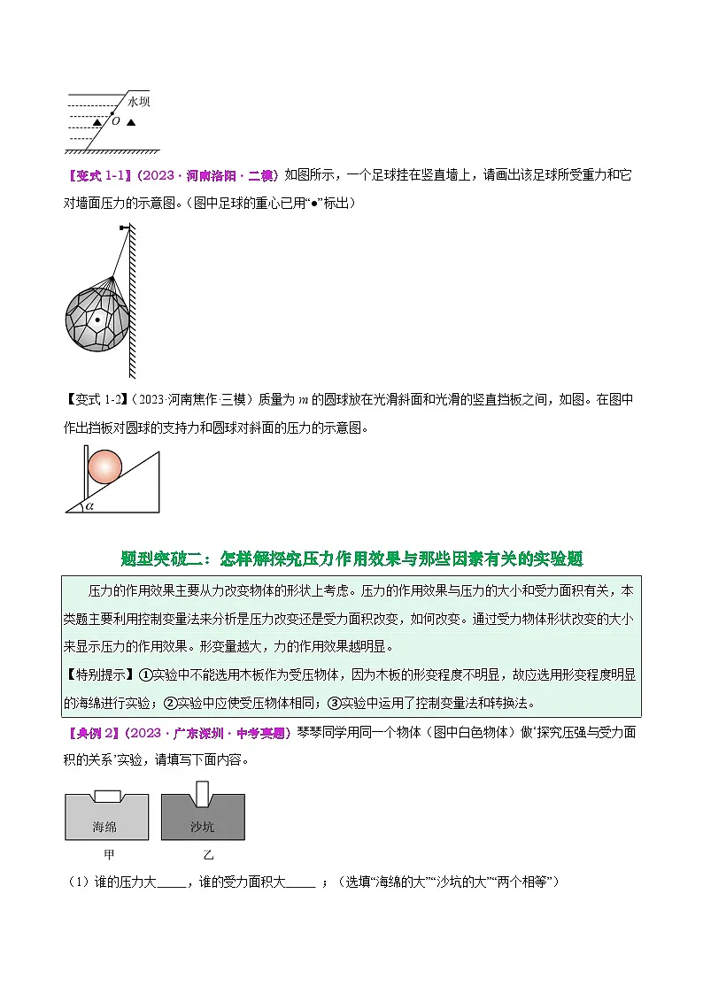 专题07 压强(原卷版)第2页