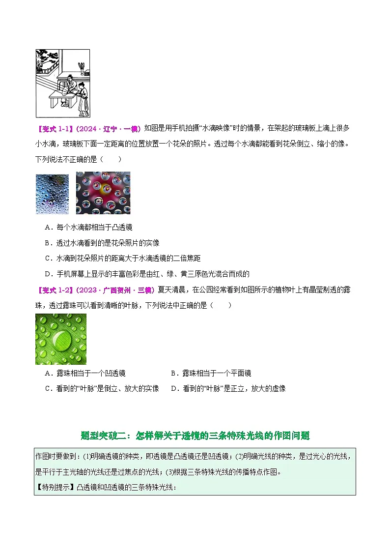 专题03 透镜及其应用(原卷版)第2页