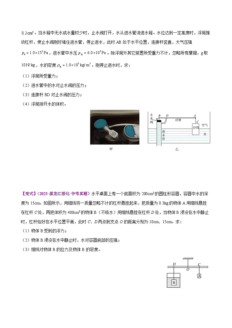 专题18 压轴题:含压强 、浮力、杠杆、滑轮的机械效率的综合计算(原卷版)第2页