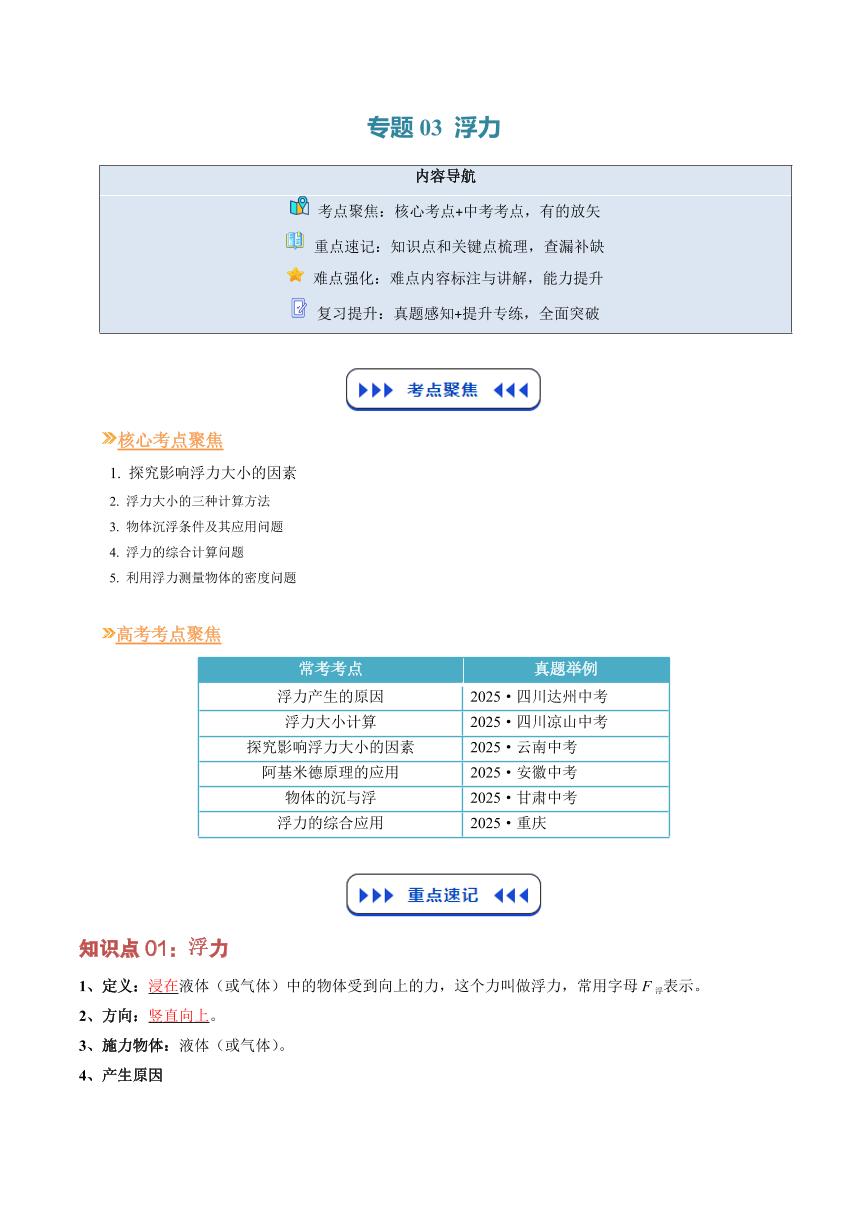 专题03 浮力(复习)-2025年初中九年级物理（人教版2024）暑假讲义（原卷版+解析版）