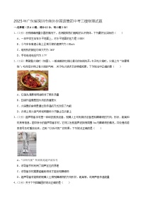 2025年广东省深圳市南外外国语集团中考三模物理试题（解析版）