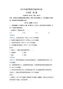 【物理】广西玉林地区2024-2025学年九年级下学期期中考试试题（解析版）