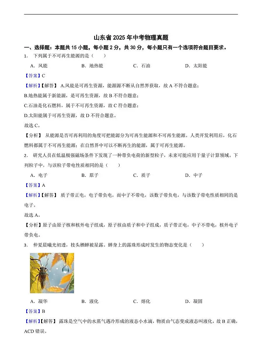 山东省2025年中考物理真题及同步解析第1页