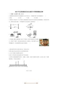 2025年江西省新余市仙女湖区中考物理模拟试卷(含解析)