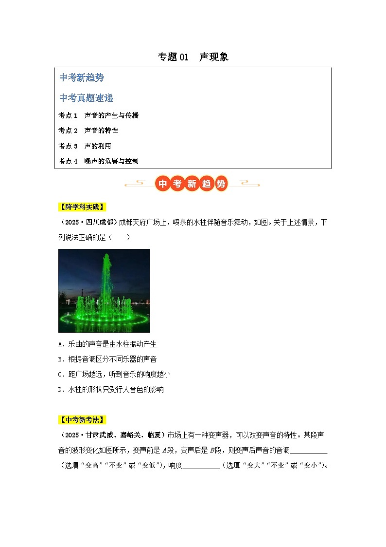 2025年中考物理真题分类汇编:专题01 声现象(全国通用)(第01期)(原卷版)第1页