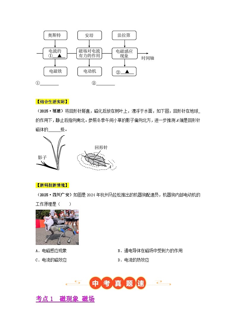 2025年中考物理真题分类汇编:专题17 电与磁(全国通用)(第01期)(原卷版)第2页