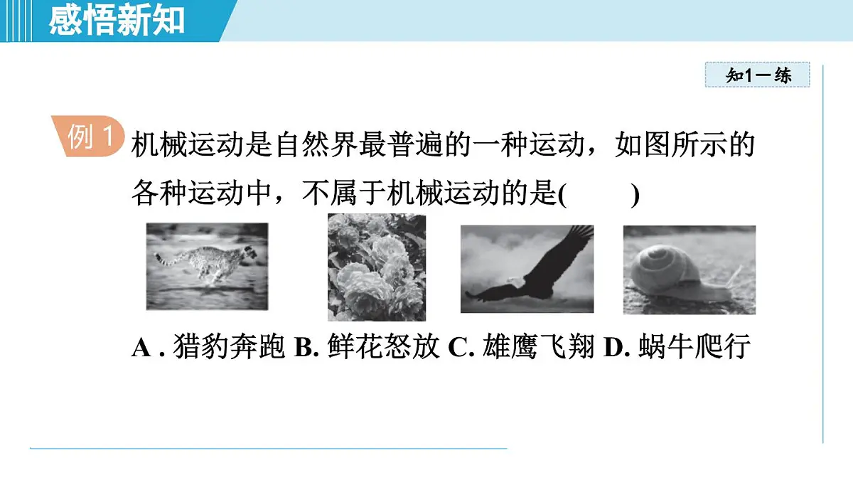 人教版八年级物理上册 1.2运动的描述(第一章 机械运动 学习、上课课件)第8页