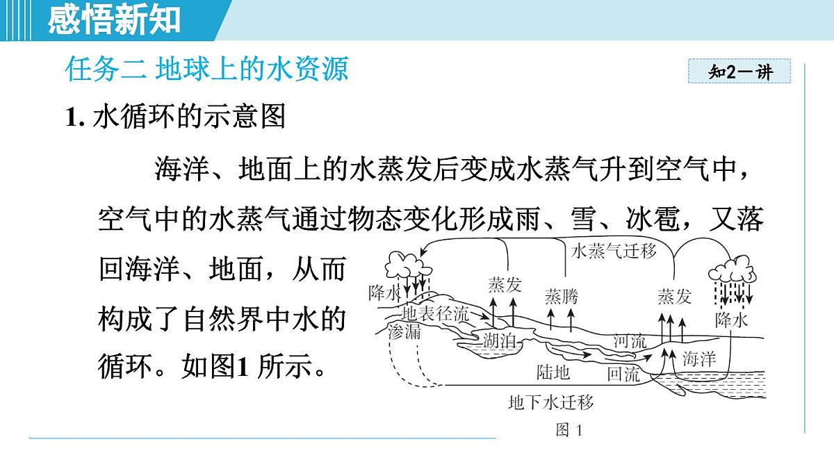 教科版八年级物理上册 5.5跨学科实践:地球上的水循环(第5章 物态变化 学习、上课课件)第5页